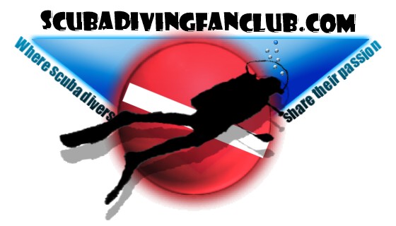 Diving Logos-Designs-Scuba Diving information