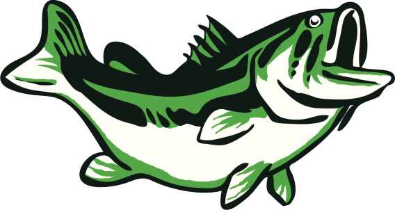 Freshwater Bass Clip Art, Vector Images &amp; Illustrations