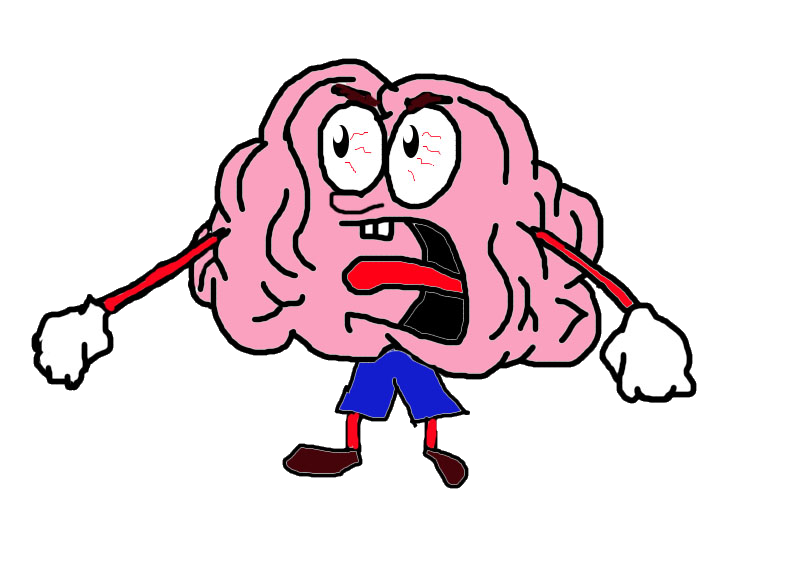 Curiosity, Calm or Test Anxiety? – Brain Leaders and Learners