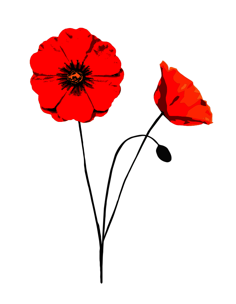 Tangelo Creative In memoriam for Anzac day - Tangelo Creative
