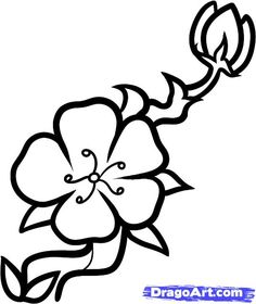 Cherries, How to draw and To draw