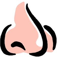 Nose Smelling Clipart - Free Clipart Images