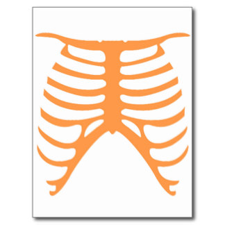 Skeleton Rib Cage Postcards, Skeleton Rib Cage Postcard Templates ...