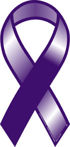 Lupus Awareness Car Decorations