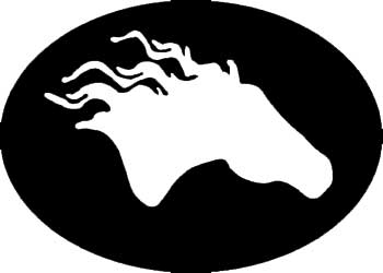 Horse Head Outline Wall Decal - Custom Wall Graphics
