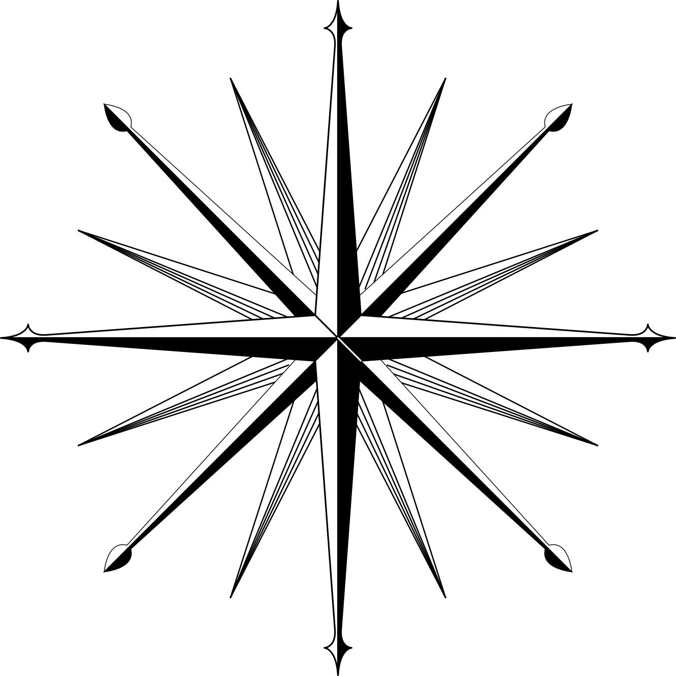 Wind Rose Compass Rose xochi.info scallywag Flower Plant xochi.