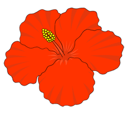 hibiscus_drawing.gif