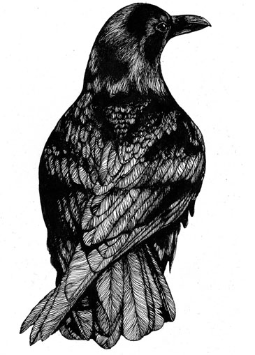 Crow T-Shirt « Alison Legg
