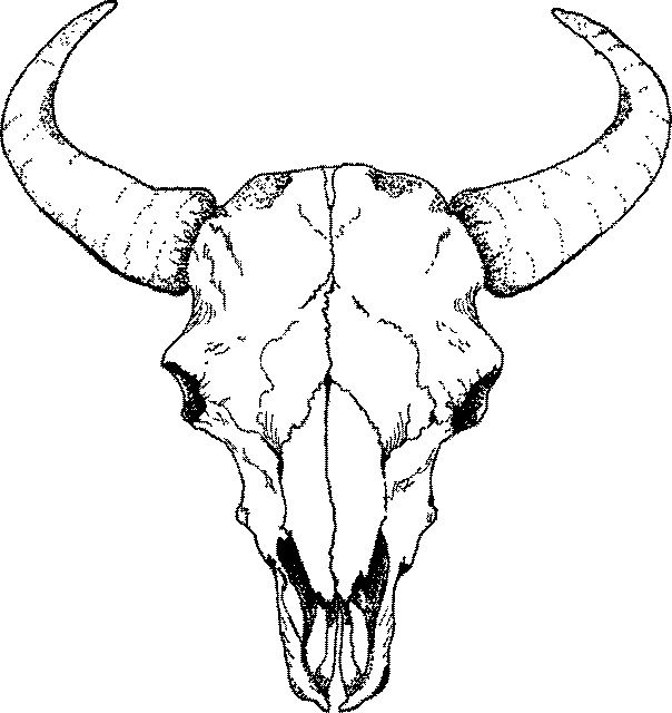 Skull Drawings | Sugar Skull ...