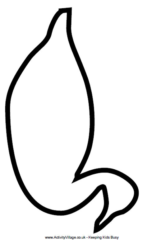 Printable Duck Template