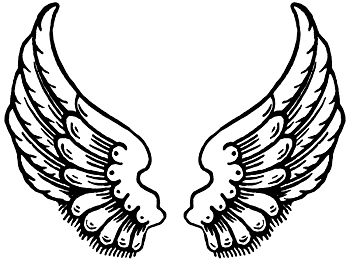 Angel Wings Drawing