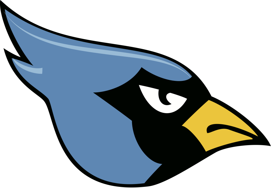 Blue jay clipart art