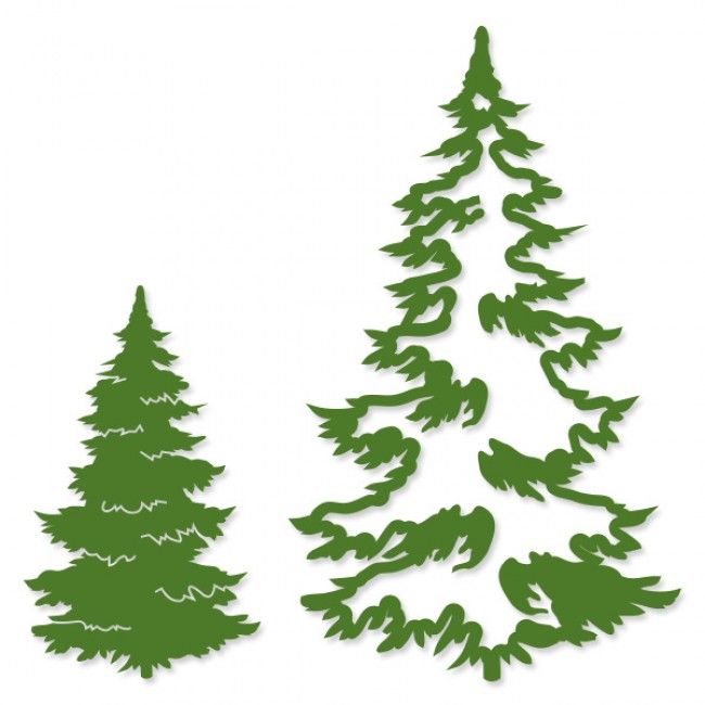 Fir Tree | Fir Cones, Holly Tree ...