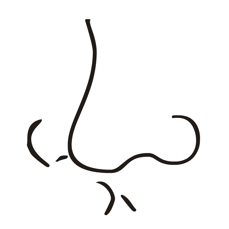 Human Nose Clipart For Kids - Free Clipart Images
