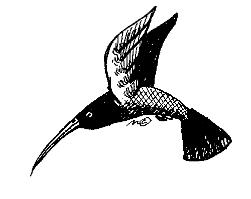 hummingbird - Clip Art Gallery