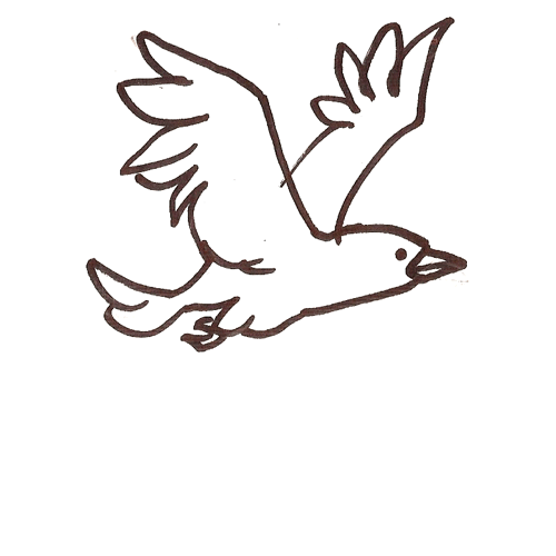 Action Analysis & Motion Studies: Gif animation - Bird flight cycle