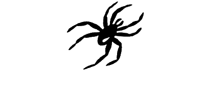 spider_animated2.gif