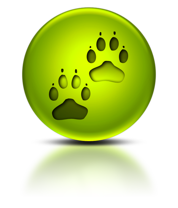 paw print » Legacy Icon Tags » Page 7 » Icons Etc