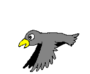 Birds in flight--