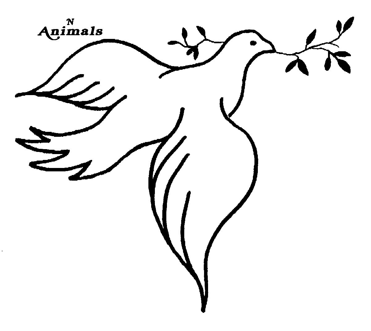 Pentecost White Dove Cartoon Version - ClipArt Best