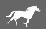 Ponies, horses and equestrian gif animations, moving pony and ...