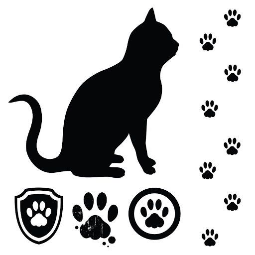 Panther Paw Print Tattoo Pictures to Pin