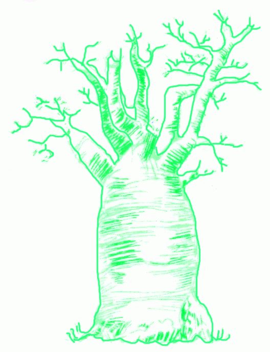 Exam Guide Online - How to Draw a Baobab.