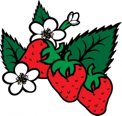 Strawberry Clip Art Border - ClipArt Best