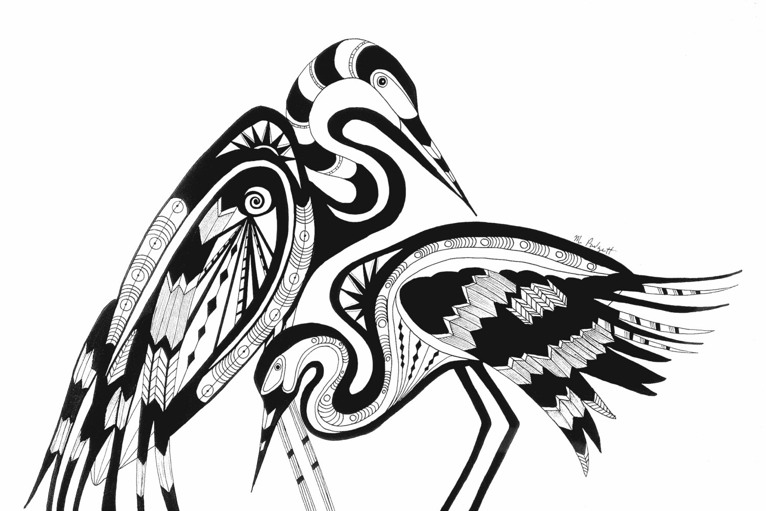 Bird Drawing -Pen & Ink Original Art - 12" x 16" - Egrets