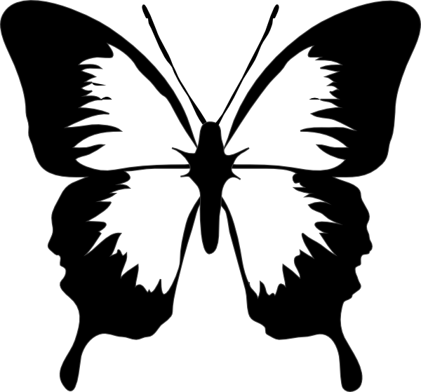 Butterfly clip art - vector clip art online, royalty free & public ...