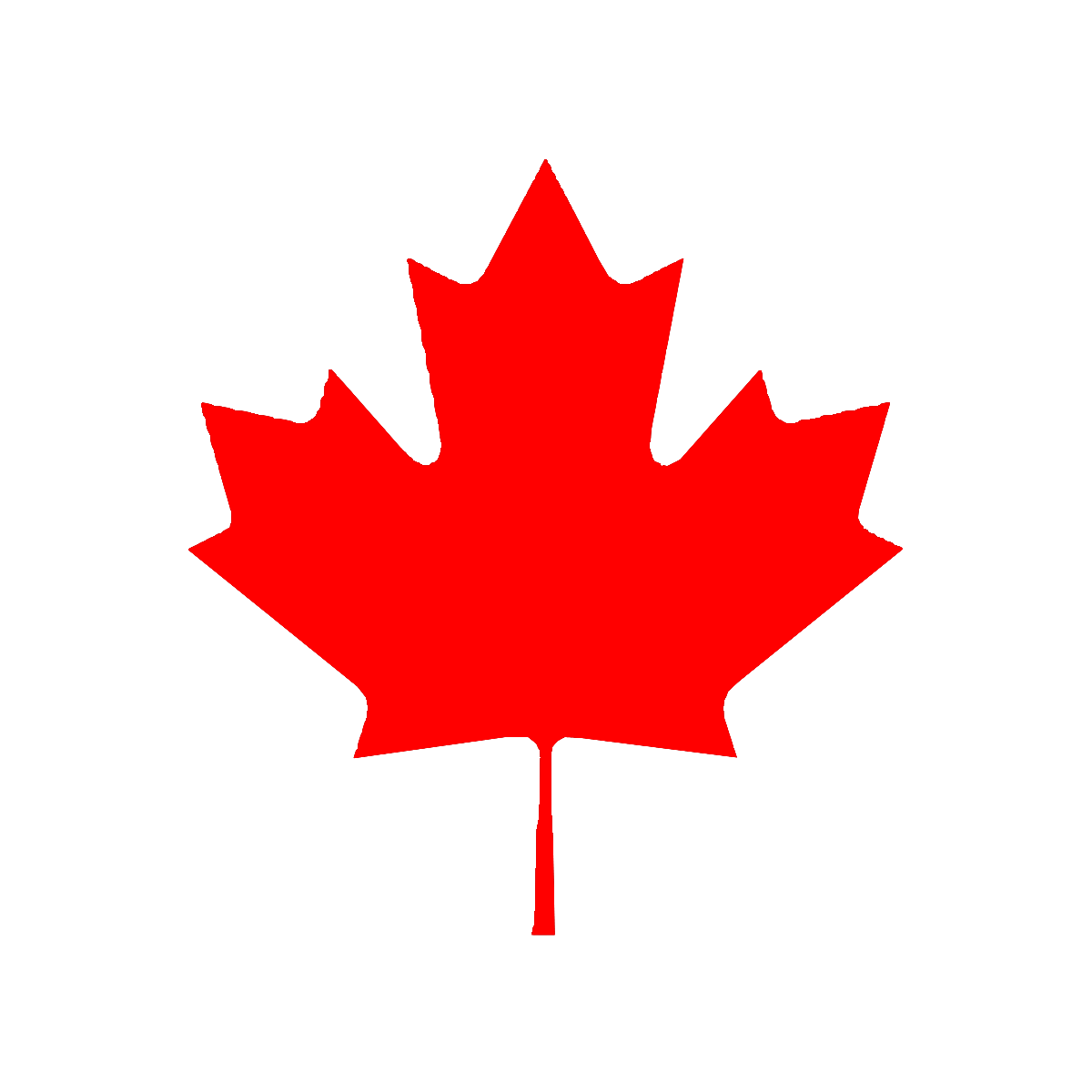 Red maple clipart transparent background
