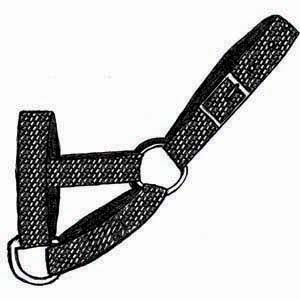 Quality Llama and Alpaca Products - Alternative Livestock Supply