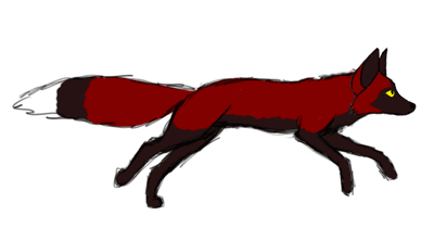 1000+ images about :3 Realistic Foxes and Cartoon Fox Drawing ...