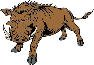 Razorback Clip Art