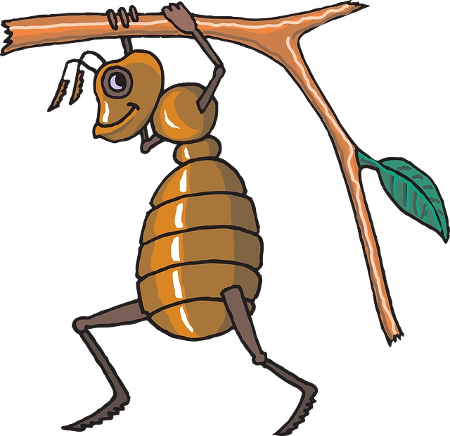 Cartoon Ameise - ClipArt Best