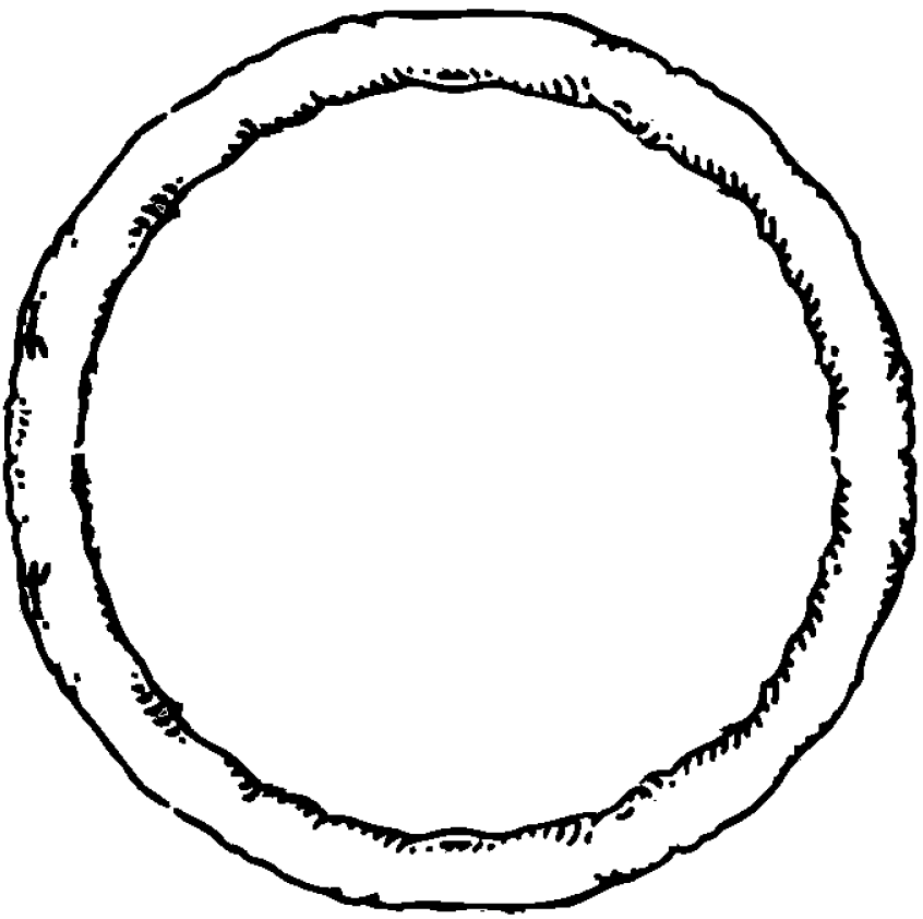 Pizza Pie Clipart Black And White