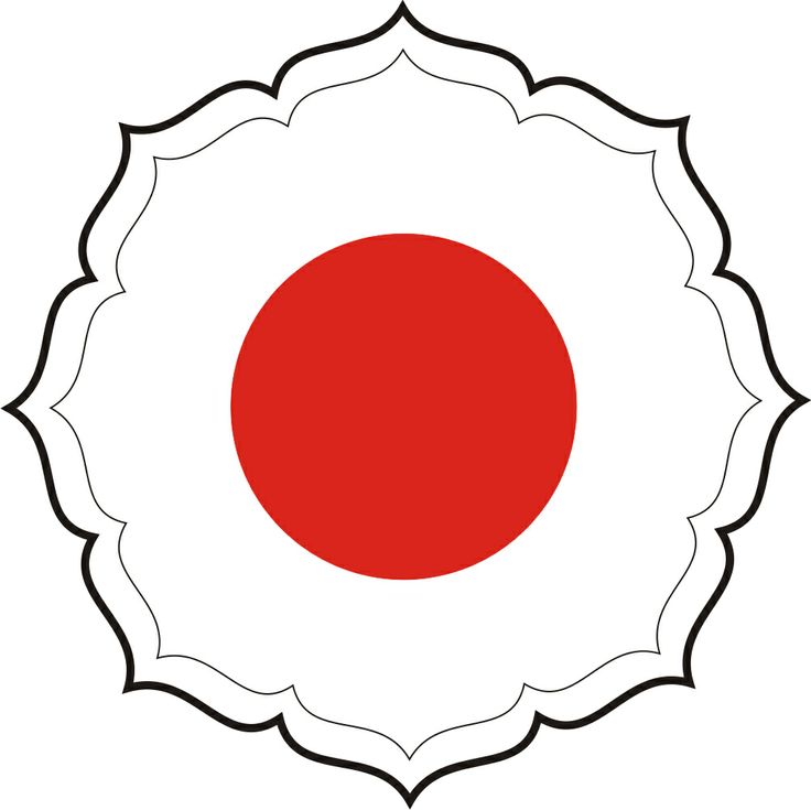 Judo Techniques