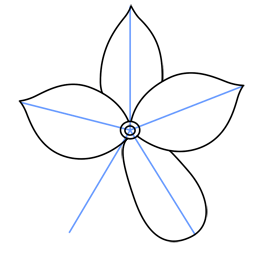 Cartoon Jasmine Flower Drawing