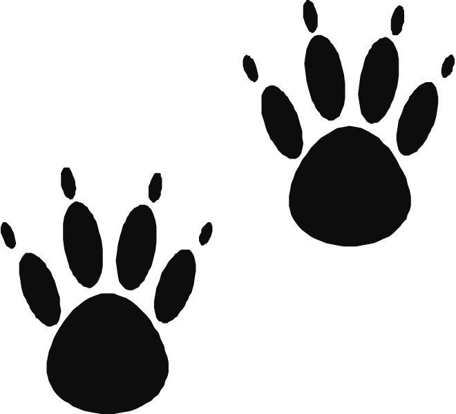 Bear Print Clipart
