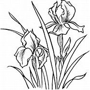 1000+ images about simple line drawings | Poppy ...