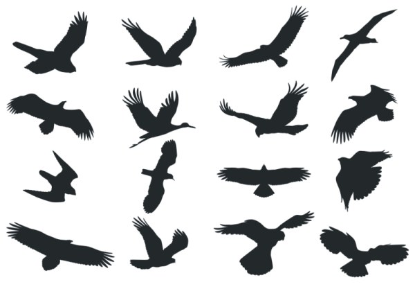 Birds silhouette vector material_Download free vector,3d model,