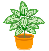 Free Plants Clipart - Clip Art Pictures - Graphics - Illustrations