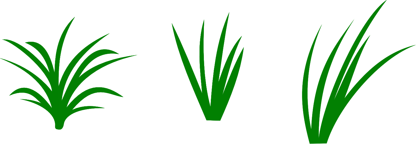 Cartoon Pictures Of Grass