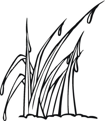 Mountain Dew coloring page | Free Printable Coloring Pages