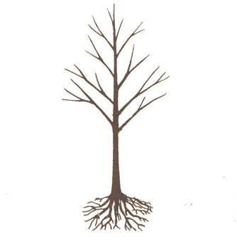 Trees With Roots - ClipArt Best