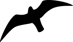 seagull-outline-md.png