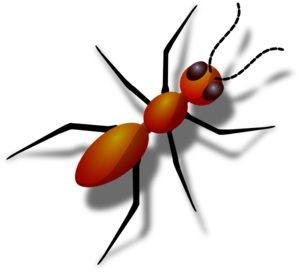 Ant clip art - vector clip art online, royalty free & public domain