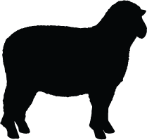 Sheep Silhouette | Silhouette of Sheep