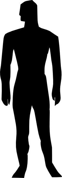 human-body-silhouette-medical- ...