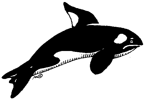 Sea Mammals - Heart of Wisdom : Heart of Wisdom